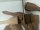 6 Raclette Spatel aus Nussbaum Holz