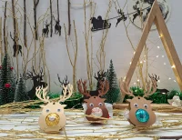 12 Stück Rentier Nr. 1 „Pralinen“...