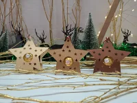 20 Stück Stern Nr. 1 „Pralinen“...